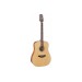 TAKAMINE GD20-NS